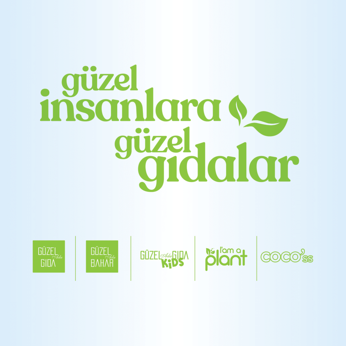 Organik Seylon Toz Tarçın 250 Gr Ekonomik Paket
